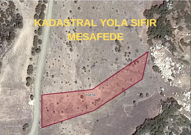 İlan Fotoğrafı